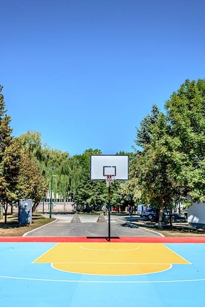 SISTEMA PI BASKET